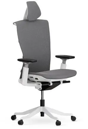 Autonomous ErgoChair Ultra 2 Ergonomic Office Chair High Back Dover Gray - With Headrest