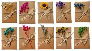 10Pcs Gypsophila Greeting Card Multi-Purpose Retro Kraft Paper Birthday Card Wear Resist Sunflower Birthday Card for Gift Card