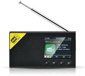 Portable Digital Radio USB Charging Wireless BT 5.0 DAB/FM Audio Rece with 2.4-inch LCD Display 1200mAh Multifunctional Radio