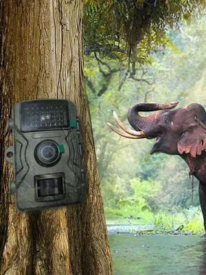 Wildlife Game Camera with Motion Activated 0.7s Trigger IP66 Waterproof Trail Camera Hunting Game Camera for Wildlife Monitoring