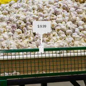 Academic Wall Calendar: 2025 Flipped Wall Calendar Hanging Countdown Wall Calendar Yearly Agenda Planner Snake Calendar Chinese