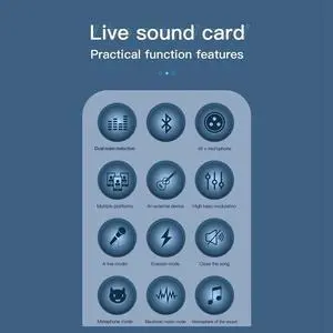 Q6S Live Sound Card Audio Interface With DJ Mixer Effects And Voice Changer Audio Mixing Console For Streaming