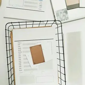 Microphone Pop Filter Black Professional Mic Accessory For Hissing Popping Reduction Wind Screen Shield Against Saliva Buildup