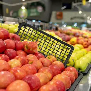 3Pcs 3.5mm Bend Male to Female Aux Extension Cable Headphone Extension Cable Pure Silver Core Tpe Wire Compatible with Cellphone 3Pcs 3.5mm Bend Male to Female Aux Extension Cable Headphone Extension Cable Pure Silver Core Tpe Wire Compatible with Cellphone