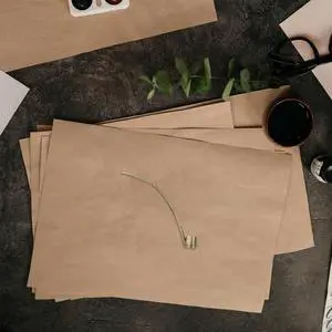 2Pcs Portable Microphone Eva Hard Case Handheld Mic Bag Shockproof Durable Travel Carrying Case Microphone Bag