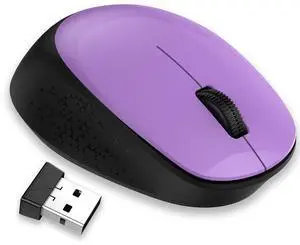 LeadsaiL Wireless Mouse for Laptop, 2.4GHz Silent USB Mouse, Slim Optical Mouse with 3 Buttons, 1600 DPI, Works with Windows, Mac, Chrome OS, Linux - Black and Purple