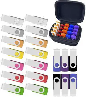 USB Flash Drive 4GB 20 Pack Multiple-Color and Flash Drive Case of 20 Slots, Thumb Drive 4 GB Set of 20 with USB Oragnizer Case
