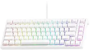 Akko TAC75 Rapid Trigger Gaming Keyboard Wired HE Keyboard Shine Through White, AstroAim Switch