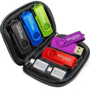 WesData 5 Pack 64GB USB Flash Drive and 2 Pack USB C Adapters in a Case, Thumb Drives Memory Stick Storage and Backup for Smart Phones with Type C Port, Laptops, PC(5 Colors) (64, GB)