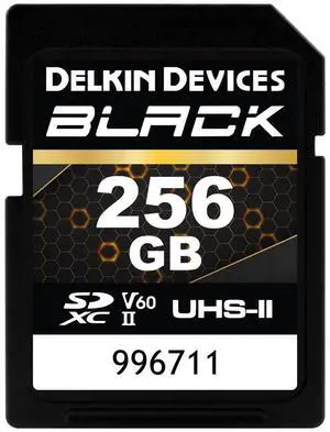Delkin Devices Black Rugged SDXC Memory Card, UHS-II, C10, U3, V60, Full HD & 8K Video, Fast Speeds Up to 290MB/s Read, 190MB/s Write, Ideal for Photographers and Videographers (256GB)