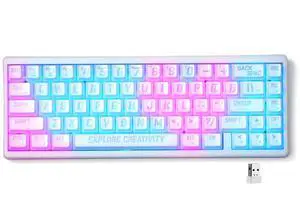 XVX M67 Wireless 60% Percent Keyboard, QMK/VIA Topographic Gaming Keyboard, Tri-Mode Thocky Creamy Mechanical Key Board, Hot Swappable Gasket Mount RGB IMD Tech for Win/Mac, Miami Theme, White