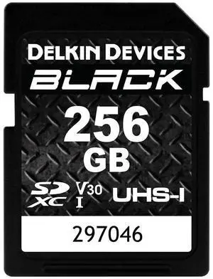 Delkin Devices Black Rugged SDHC Memory Card, UHS-I, C10, U3, V30, Full HD & 4K Video, Up to 90MB/s Read, 90MB/s Write (256GB)
