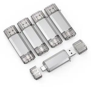 RAOYI 5 Pack 128GB USB C Flash Drive, 2 in 1 USB 3.0 Type C Dual OTG Metal Thumb Drive Jump Drive Memory Stick with Keychain Suitable for USB-C Smartphones, MacBook, Computers and Tablets (Silver)