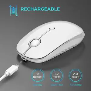 Type C Wireless MouseUSB C Mouse Dual Mode 2.4G Cordless Mice with Nano USB and Type C Receiver Compatible with PC, Laptop, MacBook and All Type C Devices-White Silver