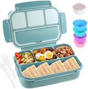 shell and turtle Bento Box Adult Lunch Box, Lunch Containers for Kids Girls Boys with 4 Compartments, Lunchable Food Container with Utensils, Sauce Jar, Muffin Liners, 40 Oz/5 Cup, Light Teal shell and turtle Bento Box Adult Lunch Box, Lunch Containers for Kids Girls Boys with 4 Compartments, Lunchable Food Container with Utensils, Sauce Jar, Muffin Liners, 40 Oz/5 Cup, Light Teal