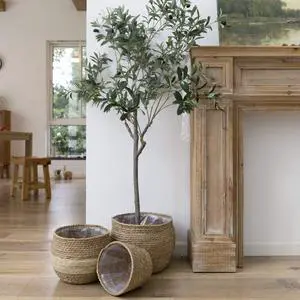 Natural Seagrass Large Planter, Plant Pots Cover, Indoor Planters Flower Pots, 13.5+12+9 inch Pack 3