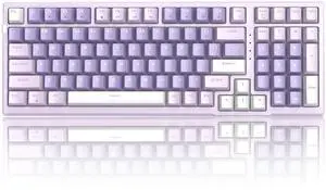SKY98 Mechanical Gaming Keyboard, 96% Gasket Hot Swappable Wired Custom Creamy Keyboard with 5-Layer Sound Dampening, RGB Backlit, NKRO for Win/Mac (Violet, Violet Switch)