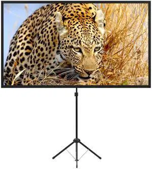 Portable Projector Screen with Stand, Outdoor Movie Screen, 80 Inch 16:9, Light-Weight, Mobile and Compact, Easy Setup and Carrying, Projection Screen with 1.2 Gain Glass Fiber, Idea for Home Cinema.