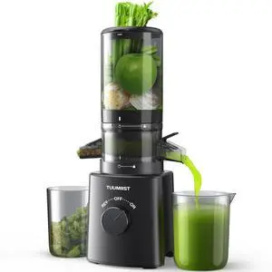 Juicer Machines,  Cold Press Juicer with 4.6'' Large Feed Chute Fit Whole Vegetable And Fruit, Masticating Juicer Easy To Clean, Black