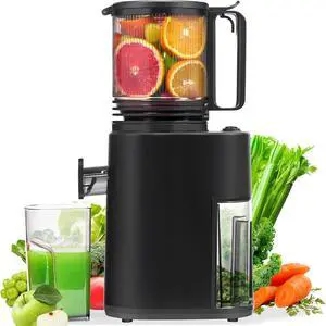 Masticating Juicer with 250W DC Motor, 5.4" Wide Feed Chute, Slow Cold Press Juice Extractor for Whole Fruits & Vegetables, High Juice Yield, DC-Black