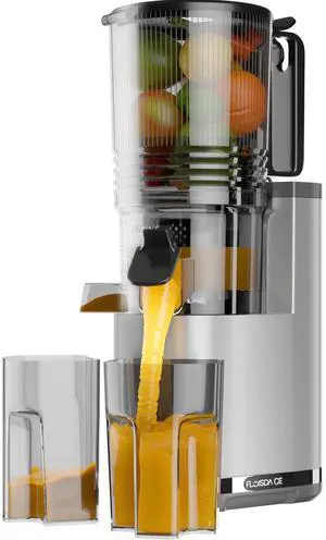 Cold Press Juicer, 6.5" Extra Large Feed Chute Juicer Machines, Hands-Free 350W Slow Masticating Juicer Machines with High Juice Yield for Whole Vegetables & Fruits, BPA Free, Silver