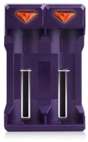 Compactly USB Charger For 2A/3A Rechargeable Batteries With Double Slots And Real Time LED Status Indicator