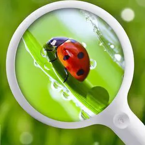 3X/10X Handheld Magnifying Glass Rechargeable Illuminated Magnifier Reading Magnifying Glass for Book and spaper Reading