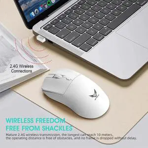Wireless 2.4G Mouse Light Weight Design DPI Adjustable Plug Wireless 2.4G Mouse Light Weight Design DPI Adjustable Plug