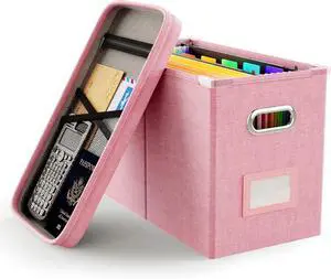 Oterri File Organizer Box with Lid, Hanging Filing File Box with Mesh Pocket, Document Organizer Box for Letter Files, Portable Storage Box with Smooth Sliding Rail for Office&Home (1 PCS, Pink)