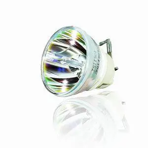 AOERUOW RLC-119/RLC-117/RLC-116 Original UHP240W Lamp Bulb for VIEWSONIC PX703HD,PX701HD,PG701WU,PX701-4K,PX701HD+,PX701HDE,PX701HDH,PG705HD,PG705WU,PX727-4K,PX747-4K,VS17058,PX700HD,PG700WU AOERUOW RLC-119/RLC-117/RLC-116 Original UHP240W Lamp Bulb for VIEWSONIC PX703HD,PX701HD,PG701WU,PX701-4K,PX701HD+,PX701HDE,PX701HDH,PG705HD,PG705WU,PX727-4K,PX747-4K,VS17058,PX700HD,PG700WU