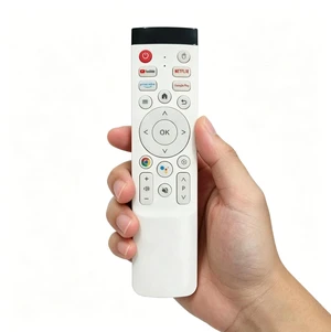 Portable TV Remote Control & Voice Google Assistant with USB Signal Receiver,Supports Bluetooth,Portable Smart TV Remote Control Suitable for Models of OFD,for VLH,for SDYSTVAI (Battery Not Included) Portable TV Remote Control & Voice Google Assistant with USB Signal Receiver,Supports Bluetooth,Portable Smart TV Remote Control Suitable for Models of OFD,for VLH,for SDYSTVAI (Battery Not Included)
