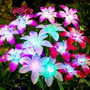 Ahaorigin Solar Garden Lights Outdoor, 4 Pack Blooming Lily Solar Flowers Outdoor Waterproof, 7 Color Changing Bigger Flower Lights for Yard Patio Decor, Gift for Mom Ahaorigin Solar Garden Lights Outdoor, 4 Pack Blooming Lily Solar Flowers Outdoor Waterproof, 7 Color Changing Bigger Flower Lights for Yard Patio Decor, Gift for Mom
