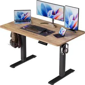 BIZUM 40x24 Inch Electric Standing Desk with Memory Presets, Quiet Motor Height Adjustable Stand Up Desk for Home Office & Gaming, Ergonomic Sit Stand WorkstationLight Rustic Brown