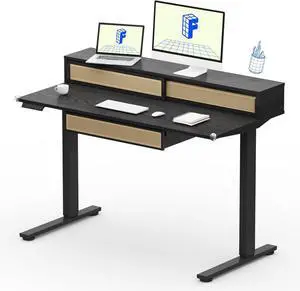 FLEXISPOT One-Piece Standing Desk with Rattan Drawers, 48 x 24 Inch Adjustable Height, Electric Stand Up Table with Monitor Shelf, Home Office Ergonomic Computer Desk with Memory Presets, Black