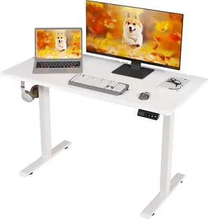 Electric Height Adjustable Desk 48x24 inches (White Frame +White Top) Ultra Quiet (<55dB) Weight Capacity 132 lbs 2-Level Memory Height Adiustable Desk