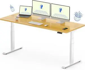 FLEXISPOT E6 Pro Oval Leg Dual Motor 3 Stages Standing Desk 60x24 Inch Whole-Piece Board Electric Height Adjustable Electric Sit Stand Up Desk 150KG Load Capacity (White Frame + Maple Desktop)