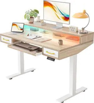 TIQLAB 47 x 28 Inch Height Adjustable Electric Standing Desk with Double Drawers&Keyboard Tray, Stand Up Desk with LED Strips&Monitor Stand, Maple