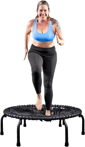 JumpSport 350 PRO 39 Inch Fitness Trampoline Indoor Rebounder Cardio Workout Equipment 300 lb Capacity JumpSport 350 PRO 39 Inch Fitness Trampoline Indoor Rebounder Cardio Workout Equipment 300 lb Capacity