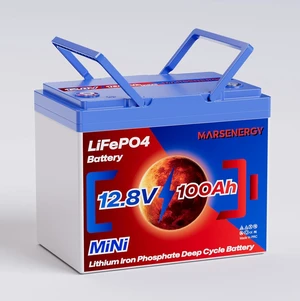 12V 100Ah LiFePO4 Lithium Battery, Bci Group 24 Size, 100A BMS 12V 100Ah LiFePO4 Lithium Battery, Bci Group 24 Size, 100A BMS
