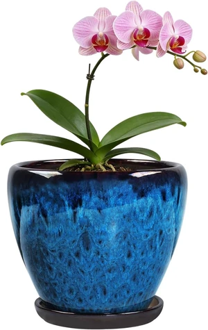 Ceramic Plant Pots With Saucer & Drainage Hole, 6 inch Indoor Flower Pots Ceramic Plant Pots With Saucer & Drainage Hole, 6 inch Indoor Flower Pots