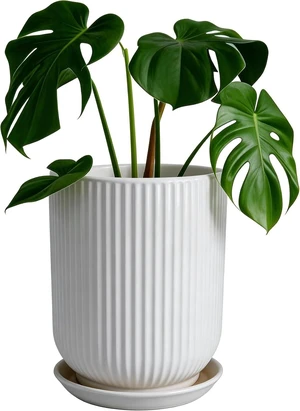Deep Dream 8 Inch Ceramic Pots for Plants, Heavy Plant Pot for Indoor Outdoor Plants, Large Plant Pot with Drainage Hole and Saucer, Modern Tall Flower Pot, Gifts for Plant Lovers, White Deep Dream 8 Inch Ceramic Pots for Plants, Heavy Plant Pot for Indoor Outdoor Plants, Large Plant Pot with Drainage Hole and Saucer, Modern Tall Flower Pot, Gifts for Plant Lovers, White