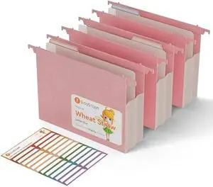 EcoStash Wheat Straw Expanding Hanging File Folders, 3.15 Hanging Accordion Folders, Large Capacity, Letter Size for Filing Cabinet, Tax Filing, Bill, Invoices,Office & Home-Strawberry Pink-3 Packs