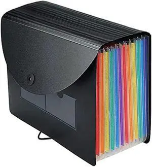 Accordian File Organizer,Expanding File Folder,Filing Folders,Expandable A4/Letter Size Folder,Accordion Document Organizer,Portable Paper/Bill/Receipt Folders (13 Pockets Accordian File Organizer)