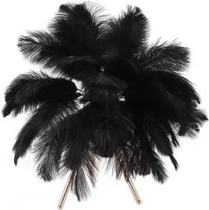 Premium Ostrich Lamp, SMD Bead Light, Touch Control, USB Rechargeable, 40Pcs Feathers, Bedroom, Study, Living Room, Wedding, Coffee, Cafe, Assembly Height 55cm (Black)