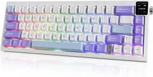 AJ650 Mechanical Keyboard tri-Mode with Screen Gasket Structure (Flying Fish Purple)