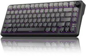 Wireless Mechanical Gaming Keyboard,with Knob, RGB Backlit, Pre-lubed Linear Switches, Wireless/Wired/BT5.0 Connection Mode