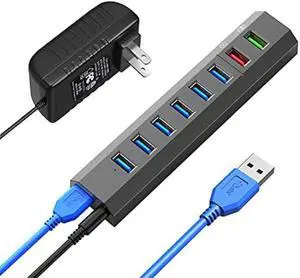 RAOYI Powered USB 3.0 Hub, 8 Ports High Speed USB 3.0 Hub Splitter with 36W Power Adapter, 3.3ft Cable and Smart Fast Charger USB Hub for Laptop, PC, Mobile HDD, Mulitple Devices (Gray)