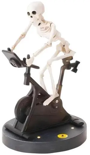 Funny Animatronic Skeleton Animated Skeleton Riding Bike Holiday Themed Decoration Halloween Decorations Non-Electric Products