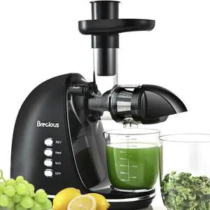 Slow Masticating Juicer, Cold Press Juicers with 2 Speed Modes & Quiet Motor,Juicers Machines Vegetable and Fruit with Reverse Function,Celery Juicer,BPA-Free,Easy to Clean (Black) Slow Masticating Juicer, Cold Press Juicers with 2 Speed Modes & Quiet Motor,Juicers Machines Vegetable and Fruit with Reverse Function,Celery Juicer,BPA-Free,Easy to Clean (Black)