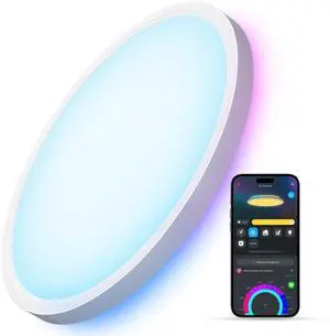 Smart Ceiling Light, RGBIC LED Ceiling Light Fixture, 2400LM Flush Mount Light Fixture, DIY Colors, Works with Alexa, 2200K-6500K Ceiling Lights for Bedroom, Living Room, 12 Inch, 1 Pack